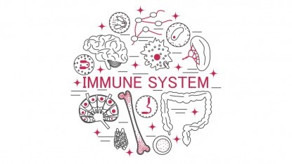 9 cose che indeboliscono il sistema immunitario